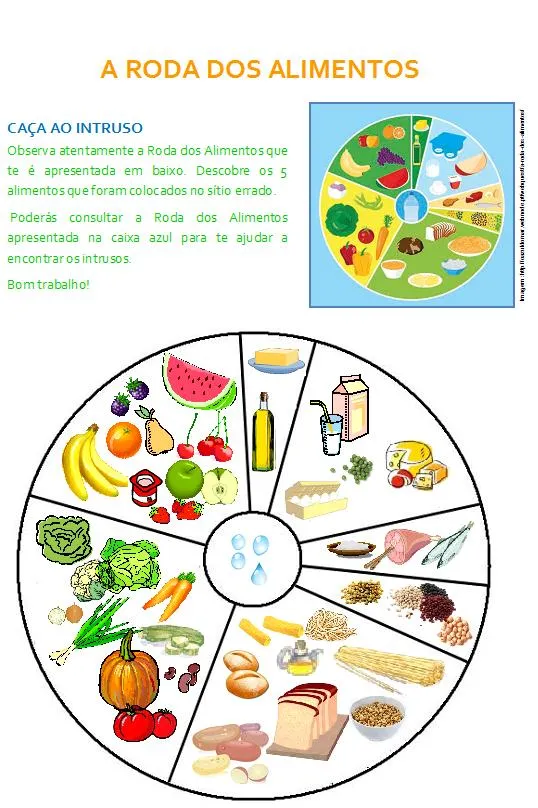 Nova roda dos alimentos para colorir - Imagui