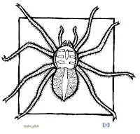 Arañas para colorear - Imagui