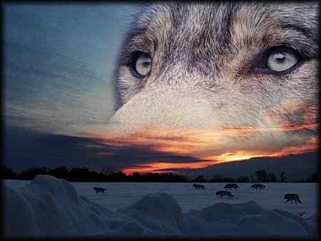 Novela gratis libro gratis: Gratis mejor novela argentina 2012 ...