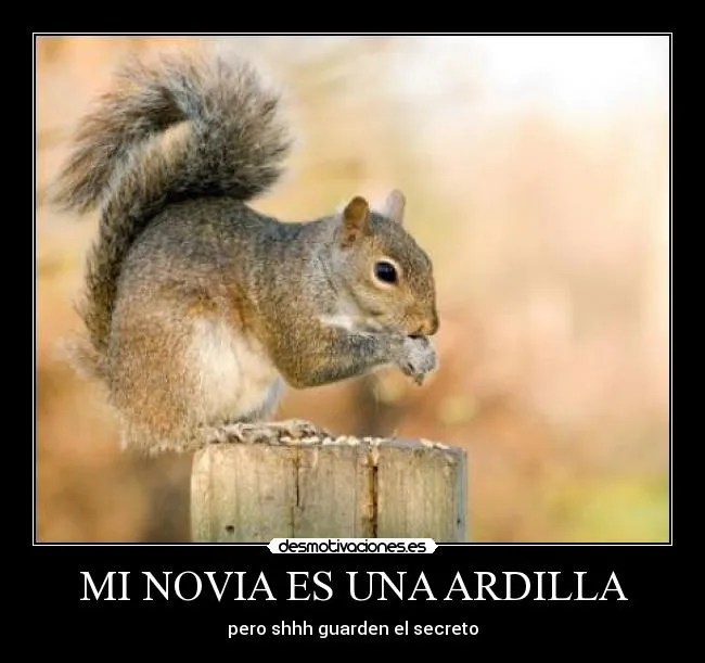 MI NOVIA ES UNA ARDILLA | Desmotivaciones