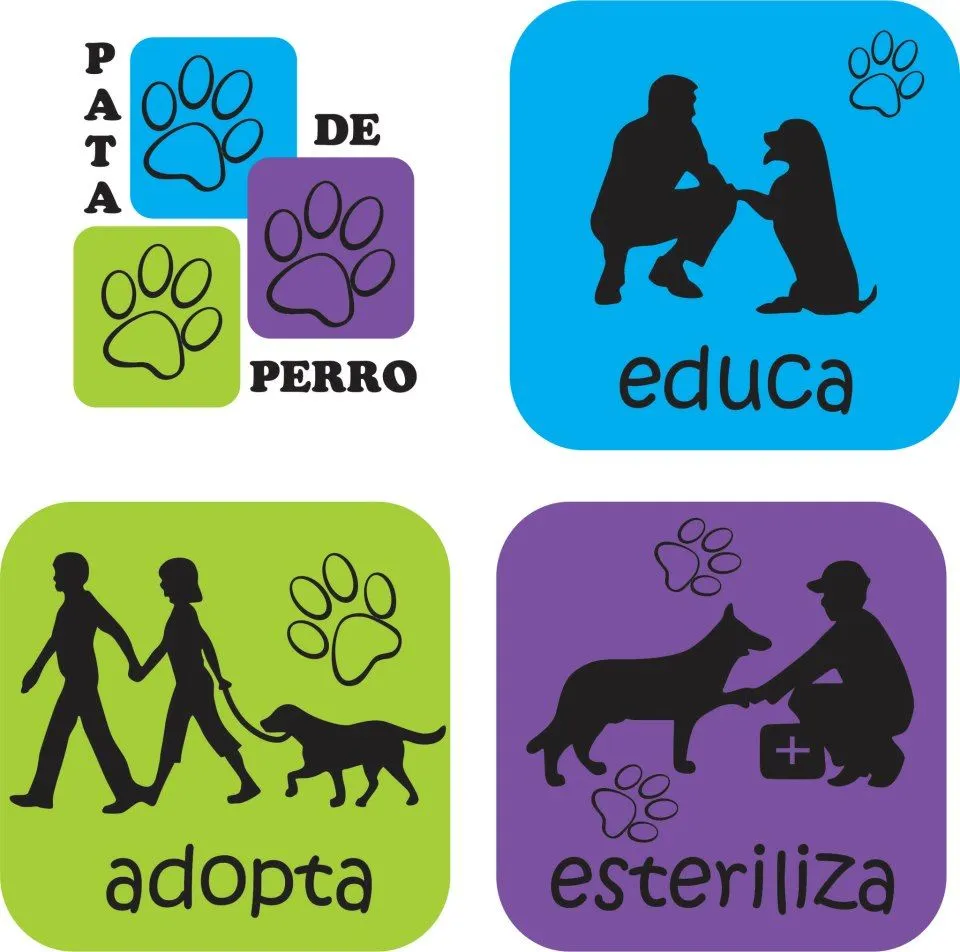 ntictoli: Una causa social Pata de Perro HERMOSILLO (Fundación PDP ...