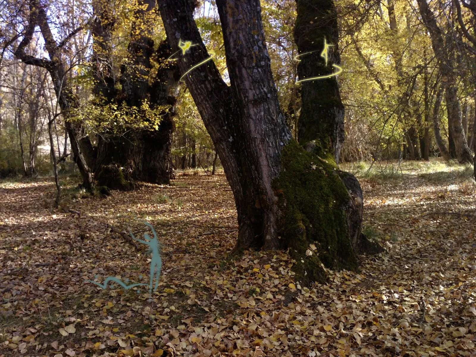 Nube de historias: El bosque de las hadas y los elfos 