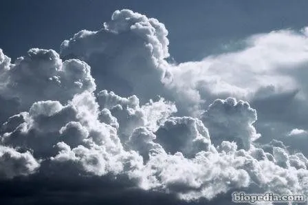 Las nubes | BIOPEDIA