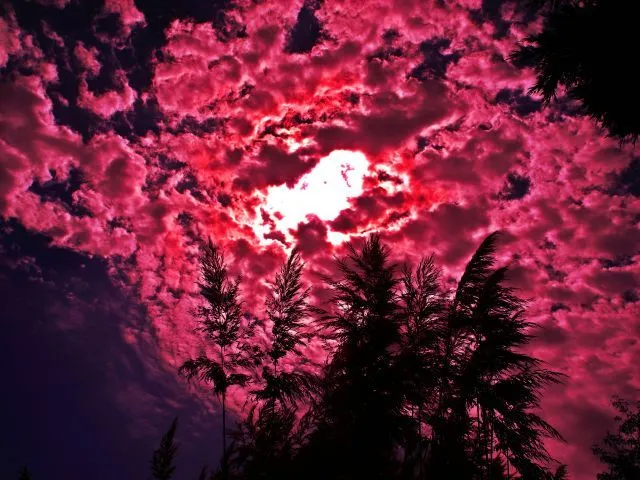 Nubes de color rosa | fotos de Meteorología