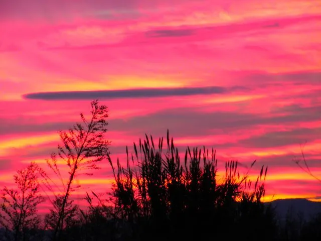 Nubes de color rosa | fotos de Naturaleza