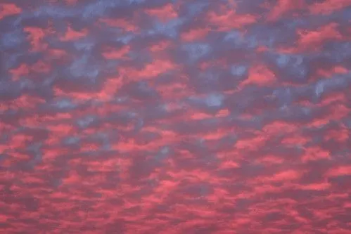 Nubes rosadas | Flickr - Photo Sharing!