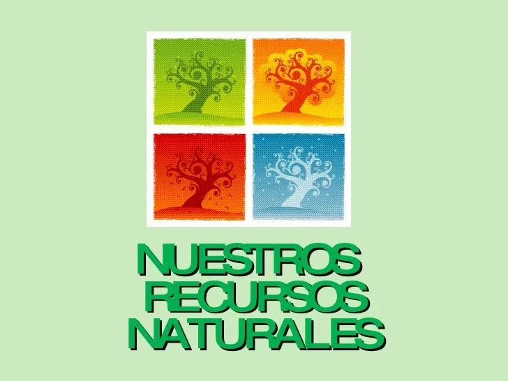 nuestros-recursos-naturales-1- ...