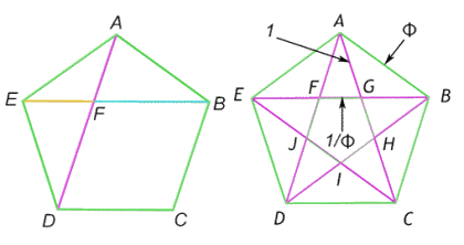 El numero mágico, Phi: sección áurea