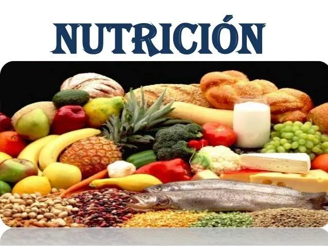 Nutricion y alimentación escolar