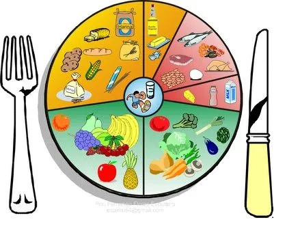 Nutricion de diños de 3 a 6 años