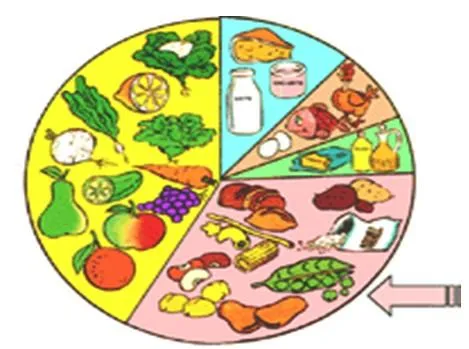 NUTRICIÓN PERÚ: Tema 1