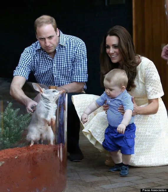 o-BILBY-PRINCE-GEORGE-570.jpg