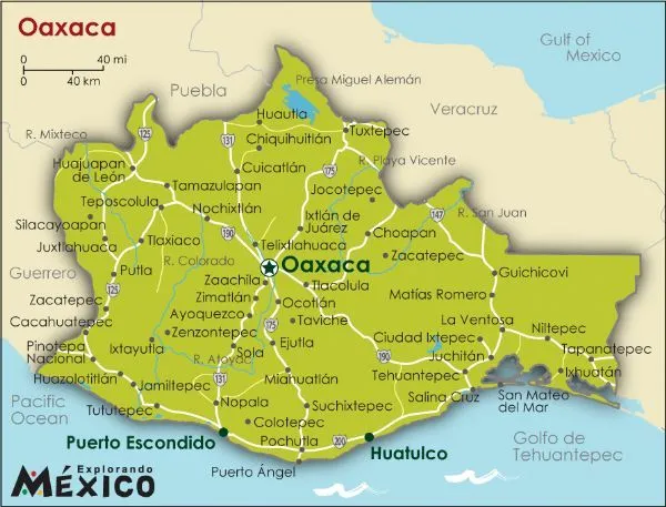 OAXACA VIVE