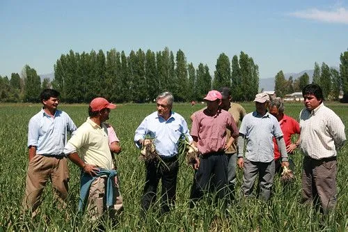 EL OBSERVATORIO POLITICO: PIÑERA: "Vamos a transformar a Chile en ...