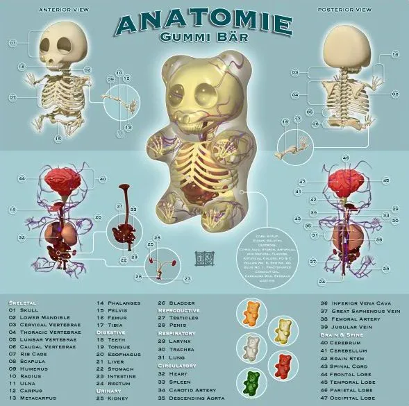 Anatomía de seres imposibles » Peor para el Sol