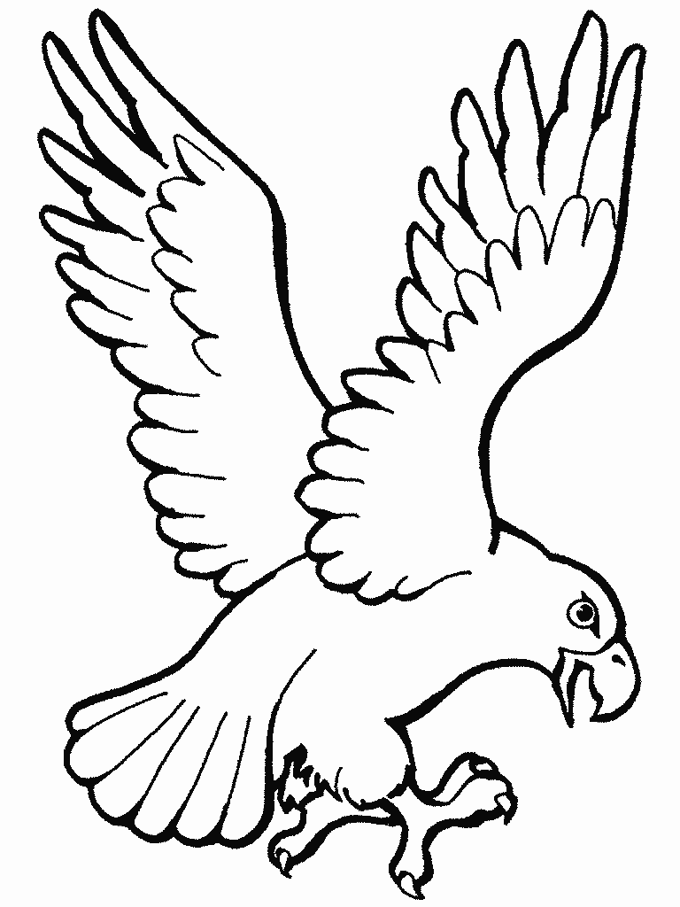 Aguila para pintar ~ Dibujos para Colorear Infantil