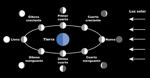 Simulación de las fases de nuestro satélite natural ~ Tot ...