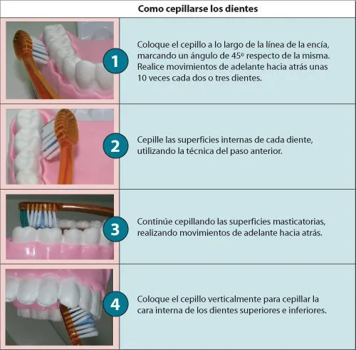 Odonto Salud - Tecnica de Cepillado Correcta