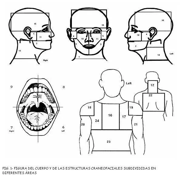 Odontoestomatología - Dolor Cráneo-facial como Síntoma Aislado de ...