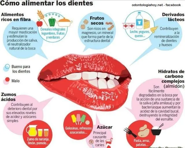 Alimentos saludables y perjudiciales en salud bucal | Odontologia Hoy!