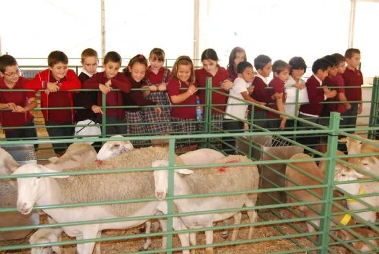 NUMEROSOS ESCOLARES HAN PARTICIPADO EN LOS OFICIOS DEL CAMPO COMO ...