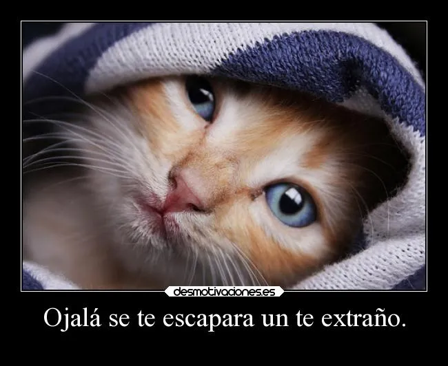 Ojalá se te escapara un te extraño. | Desmotivaciones