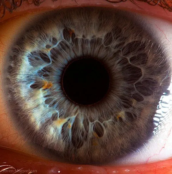 Esos ojazos tuyos…Macro fotografías del ojo humano - Taringa!