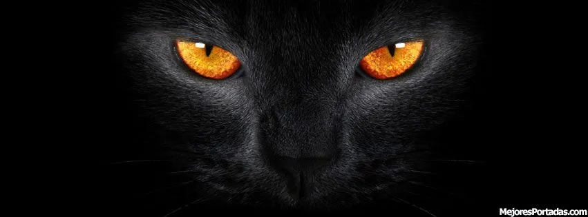 Ojos gato negro - ♠ Las Mejores Portadas para tu perfil de ...