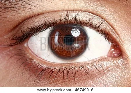 Ojos marrones, de un hombre joven Fotos stock e Imágenes stock ...