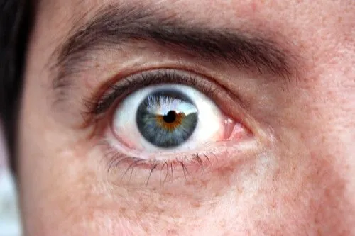 Ojos multicolor. | Flickr - Photo Sharing!