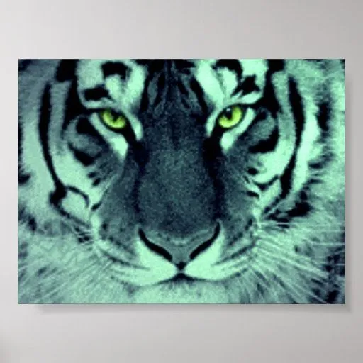 Ojos del tigre impresiones | Zazzle