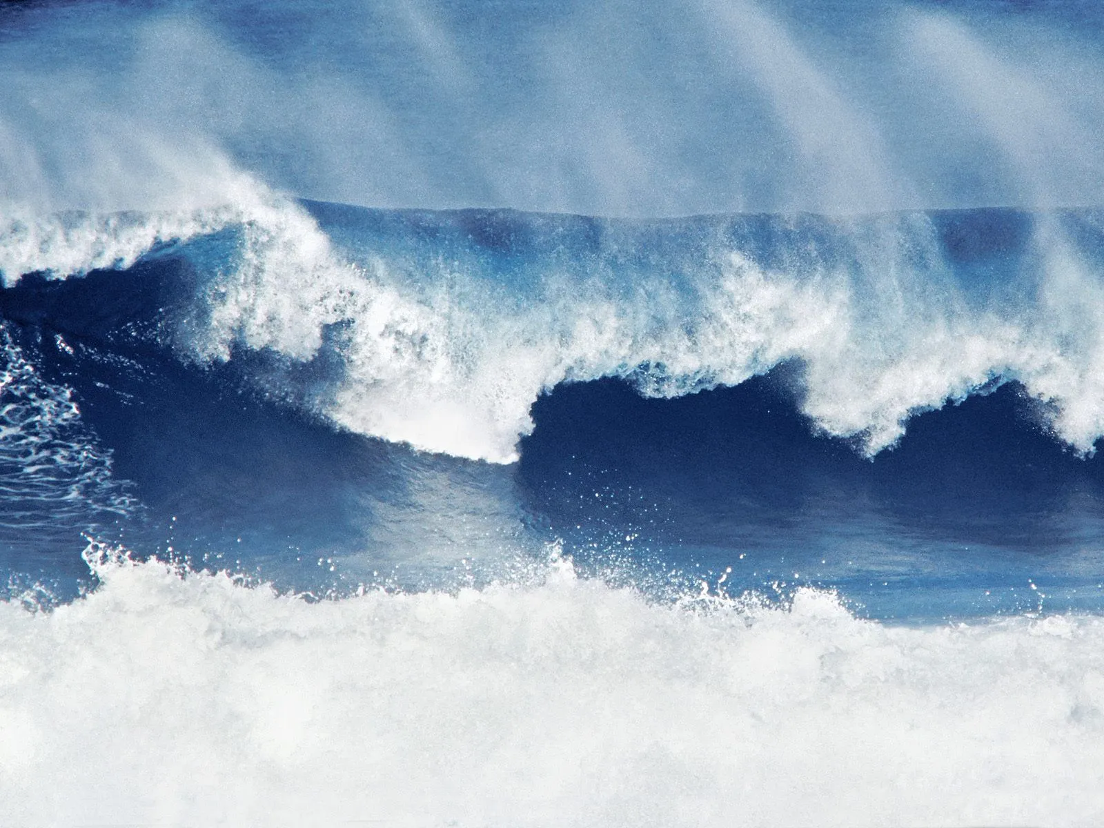 Las olas del mar I (20 fotografías muy frescas)