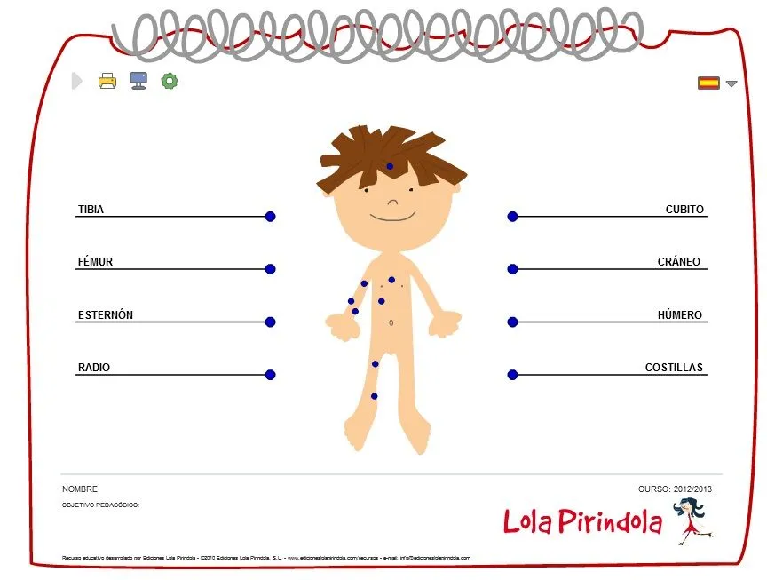 Olguchiland: REPASANDO EL CUERPO HUMANO