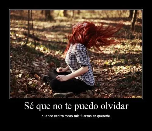 No te puedo olvidar | Mi amor... Te amo !