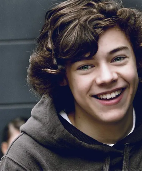 One Direction: Biografia de Harry Styles