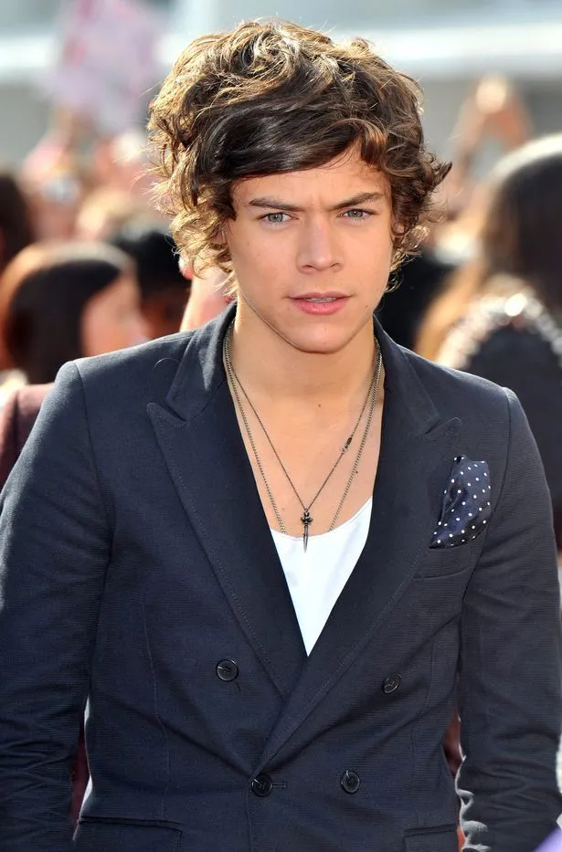 One Direction singer Harry Styles speaks to police after being ...