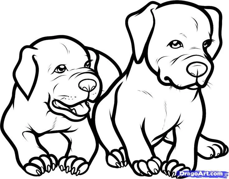 Only Pitbull Dogs Coloring Pages | How to Draw Baby Pitbulls, Baby ...