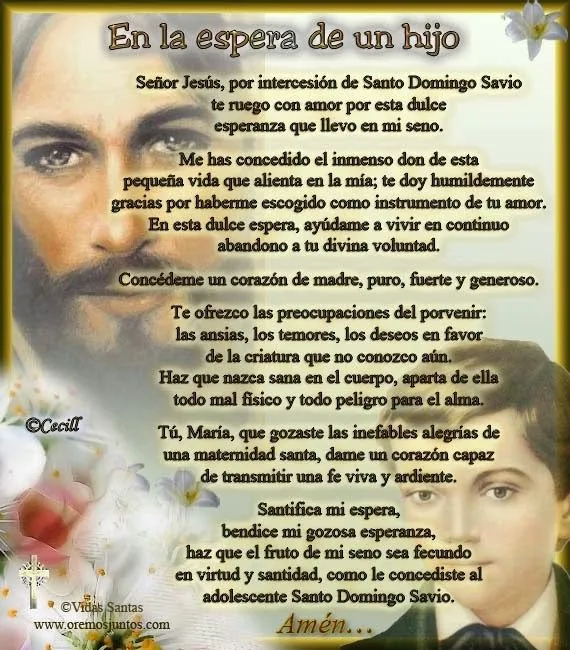 Amigos Católicos • Ver Tema - ORACIÓN A SANTO DOMINGO DE SAVIO POR ...