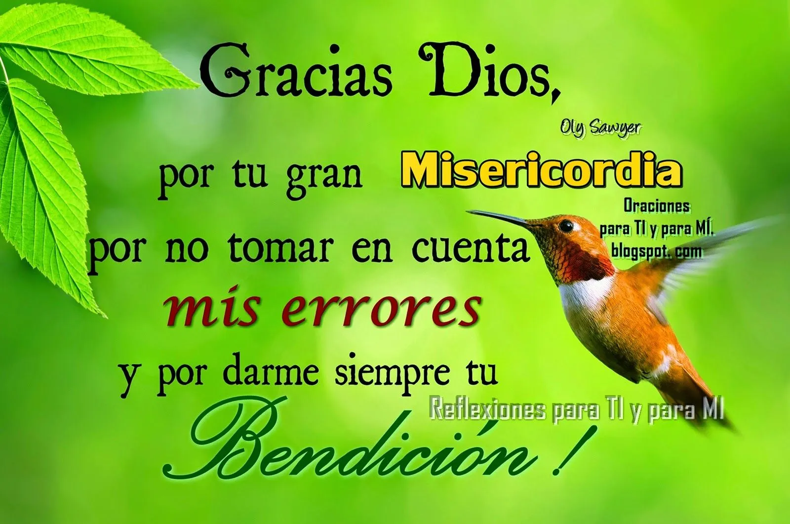 Oraciones para TI y para MÍ: Gracias Dios, por tu gran Misericordia!