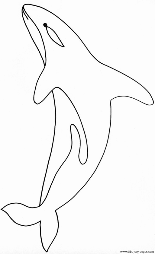 orca | Dibujos y juegos, para pintar y colorear