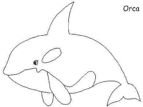 orca1.gif.jpg?imgmax=640