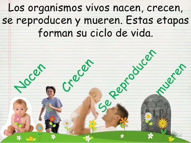 Los organismos vivos ciencia 2