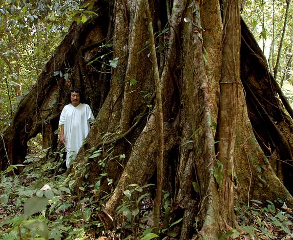 Orgullo Mexicano: La Selva Lacandona - Taringa!