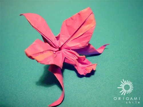Origami Chile