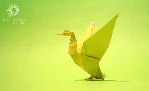 Origami aves - Imagui