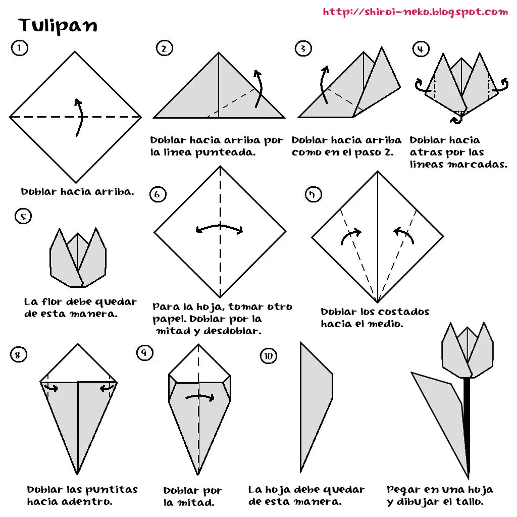 shiroi neko: Origami: Tulipán