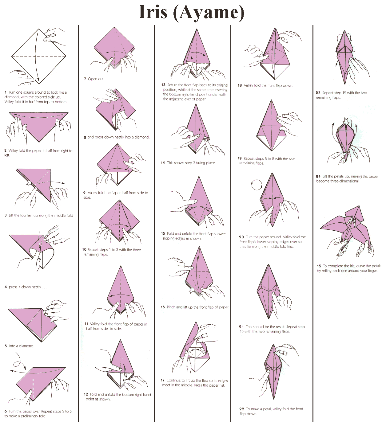 Origami: Origami Flor de Íris