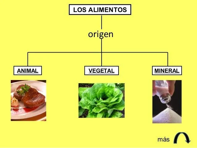 Origen alimentos