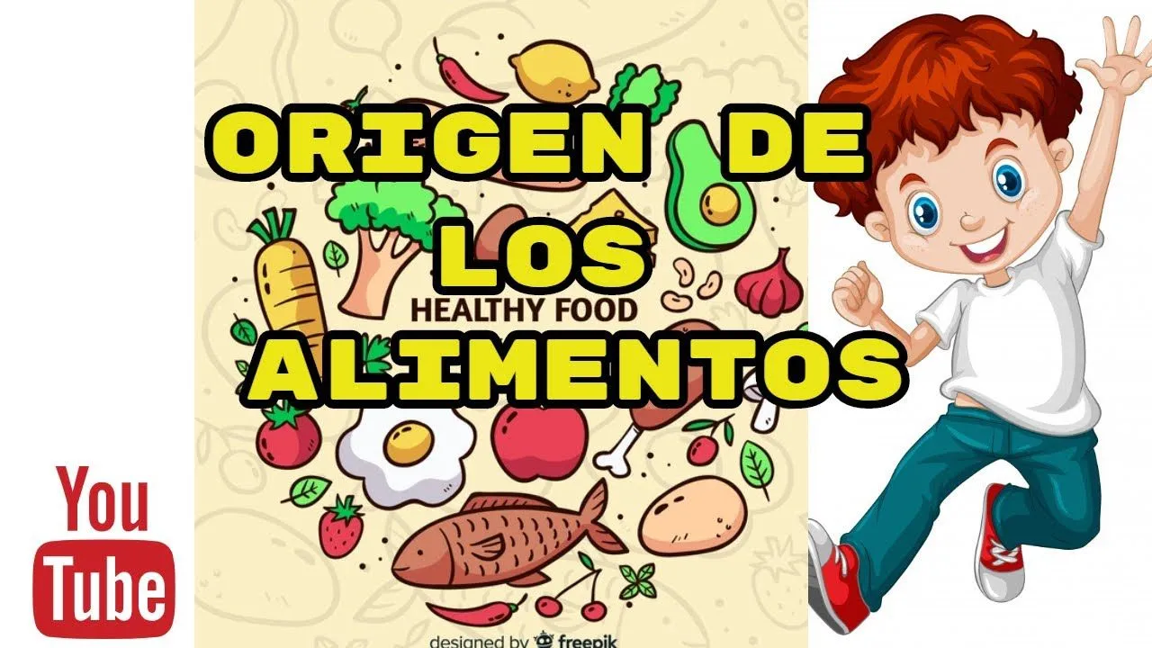 Origen de los alimentos , vegetal , animal y mineral (PARA NIÑOS )/video  educativo - YouTube