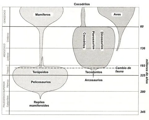 Origen y evolución de los reptiles y dinosaurios